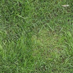 Seamless Grass